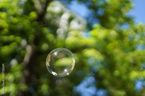 Colored iridescent soap bubble in the air with reflections. On blurred background © Alex