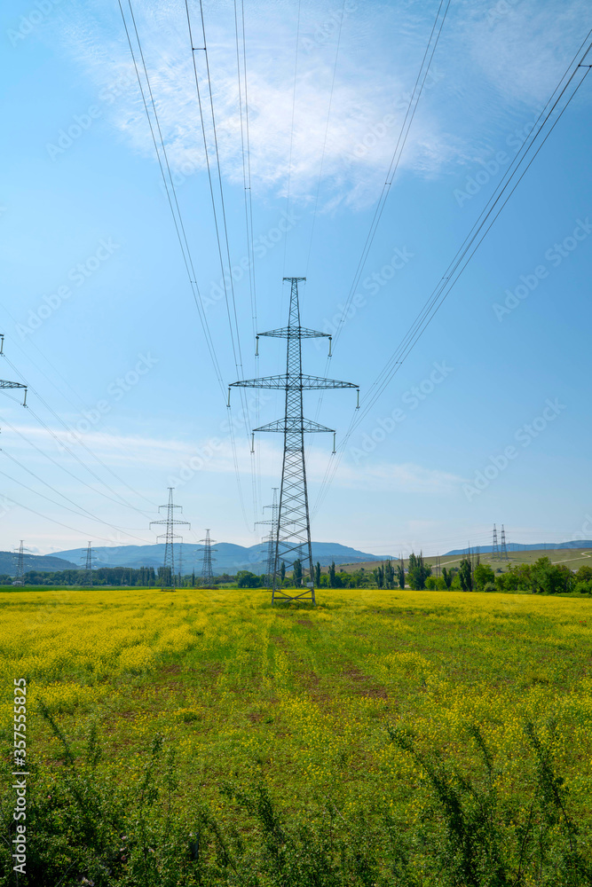 high voltage power lines. electric power lines background blooming