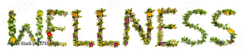 Flower, Branches And Blossom Letter Building English Word Wellness. White Isolated Background