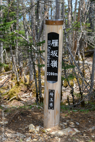 雁坂嶺の山頂標識 photo