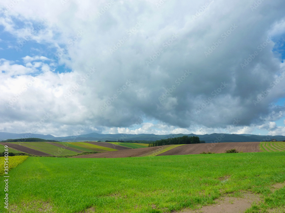 Obraz premium 風景, 野原, 空, 草, 自然, 緑, 牧草地, サマータイム, 青, ルーラル, 雲, 雲, いなか, 農学, とぶ, 地平線, 国, ファーム