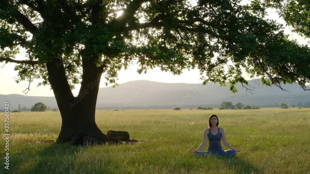A young Asian woman meditates at sunset under a large old oak tree. Woman exercising pose vital and meditation for fitness lifestyle club at the outdoors nature background. Healthy and Yoga Concept A young Asian woman meditates at sunset under a large old oak tree. Woman exercising pose vital and meditation for fitness lifestyle club at the outdoors nature background. Healthy and Yoga Concept