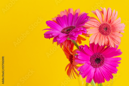 Two flowers  orange and pink in a glass vase on a yellow background  pop art  minimal.