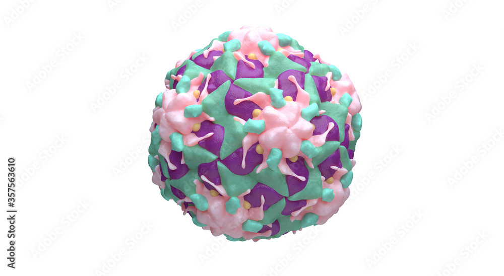 Human Rhinovirus Picornavirus isolated 3D illustration Human Rhinovirus Picornavirus isolated 3D illustration