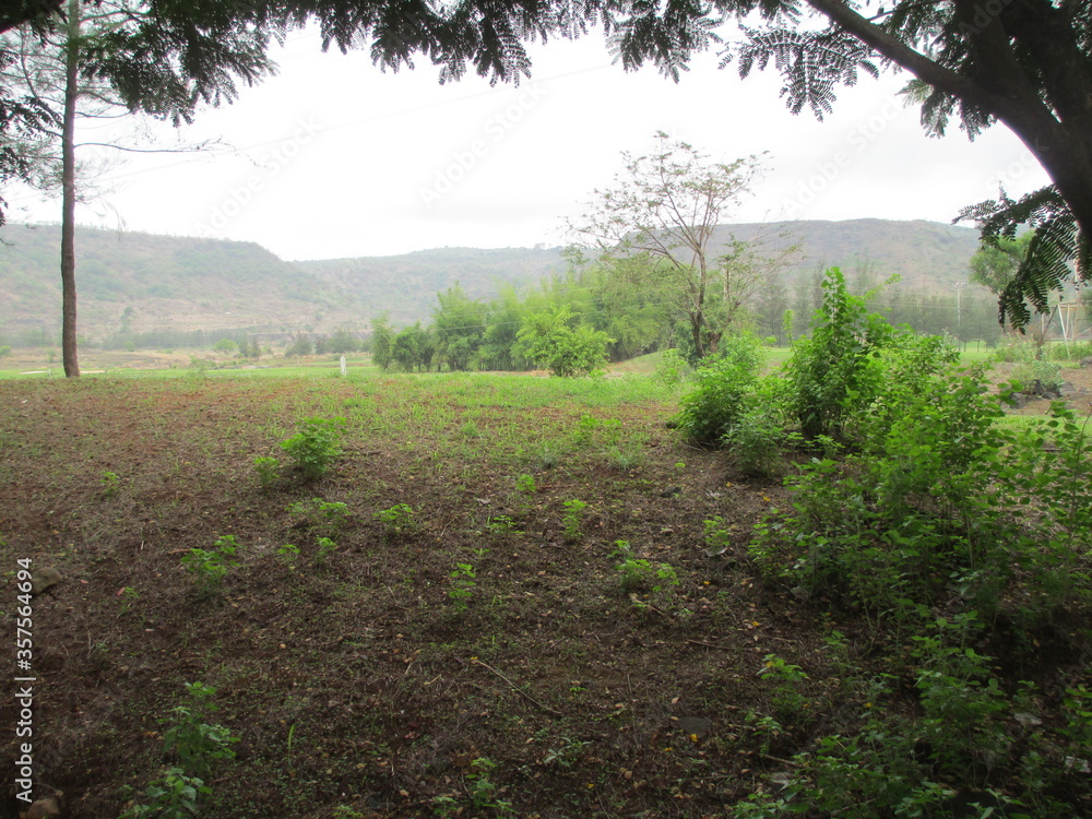 beautiful nature landscape scenic view of trees and plants beautiful nature landscape scenic view of trees and plants