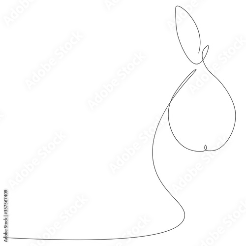 Pear fruit background, vector illustration