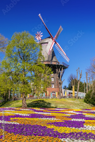 View to windmill in garden called 
