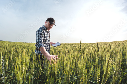 male agronomist in cap takes notes in a notebook on a green agricultural field of wheat photo