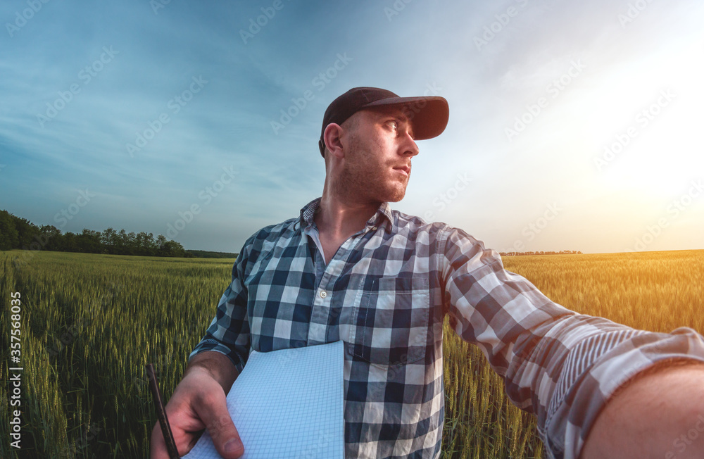 male agronomist in cap takes notes in a notebook on a green agricultural field of wheat male agronomist in cap takes notes in a notebook on a green agricultural field of wheat