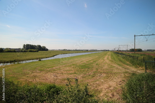 Meadows, ditches and weed flowers of the lowest polder of Europe named Zuidplaspolder in the Netherlands.