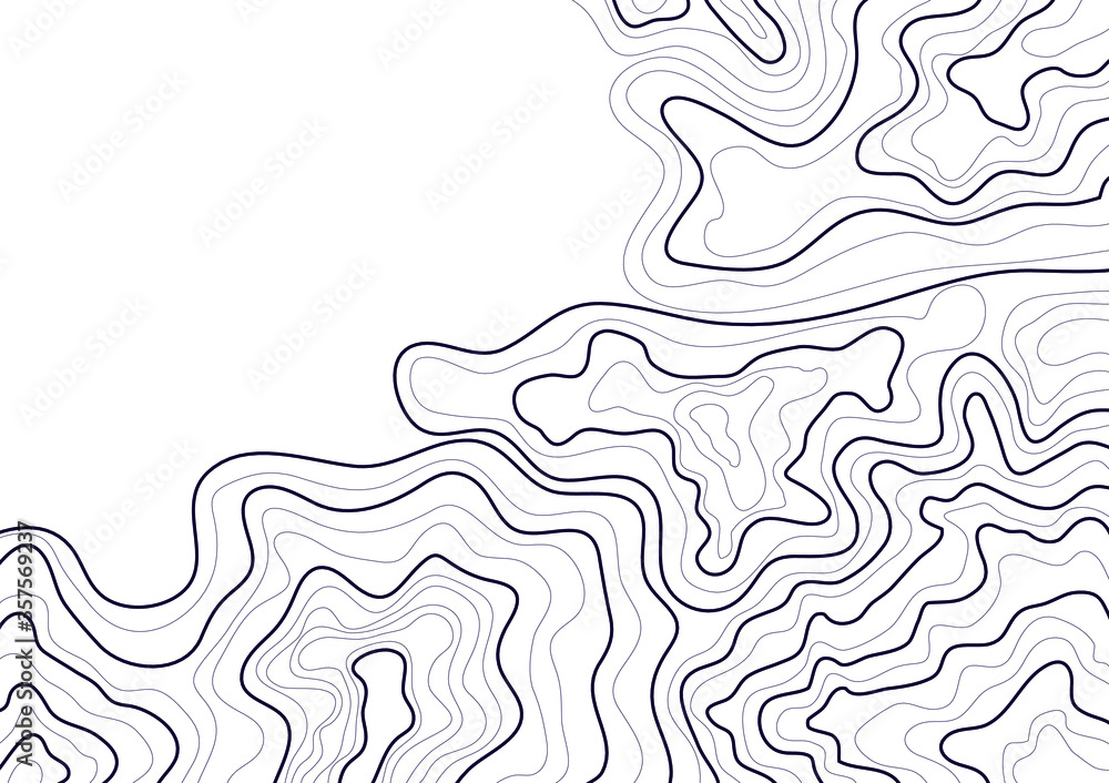 topographic map abstract height lines isolated on white background vector