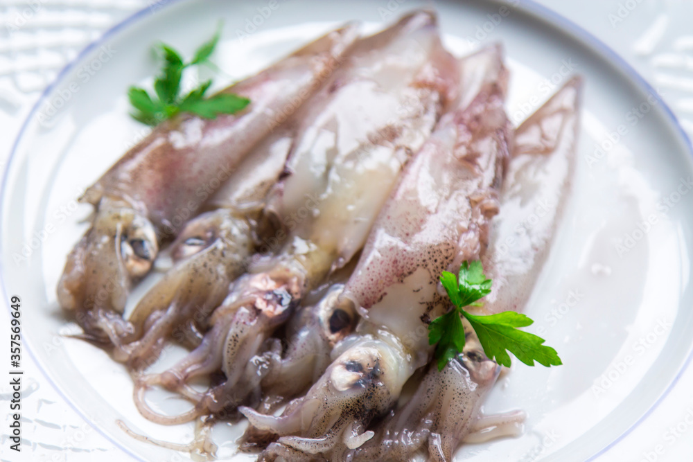 seafood dish, squid or fresh cuttlefish with parsley seafood dish, squid or fresh cuttlefish with parsley