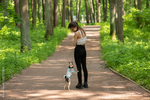 Happy pet. Girl with a small dog for a walk