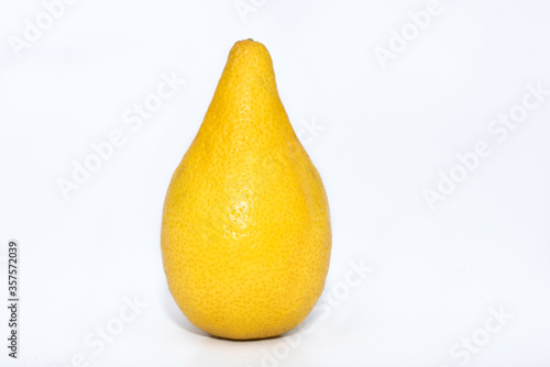Isolated lemon on white background. Tropical fruit in front view. Lemon like a pear.