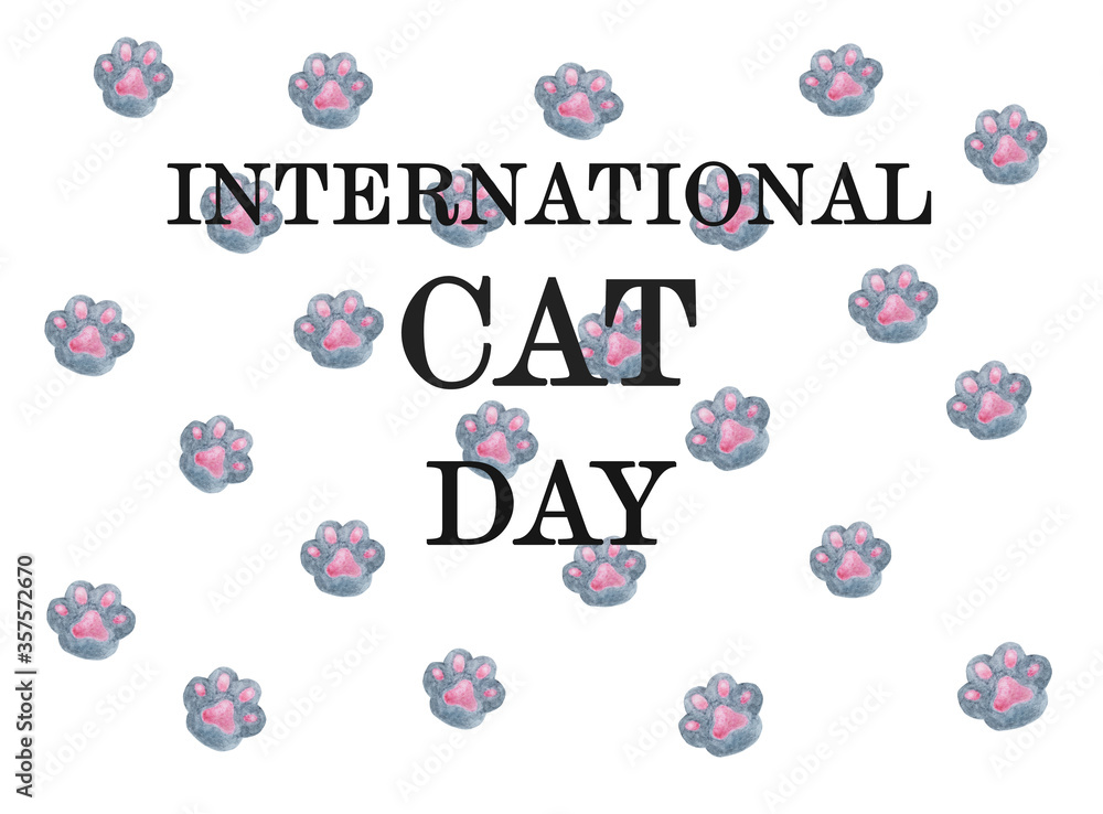 International Cat Day. Beautiful card. Close-up, view from above. Pet Care Concept. Congratulations for family, relatives, friends and colleagues