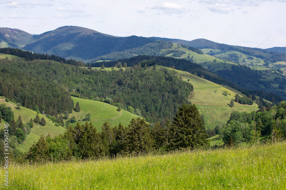 Mountain landscape, view on Black Forest Mountains, springtime. Green hills,  meadows and forest. Schwarzwald panorama, rolling landscape. Germany