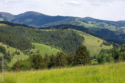 Mountain landscape, view on Black Forest Mountains, springtime. Green hills, meadows and forest. Schwarzwald panorama, rolling landscape. Germany