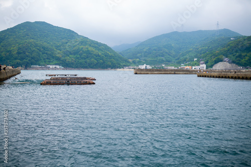 由良町の海