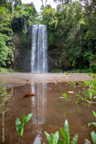 Millaa Millaa falls at the lush tropical rainforest surrounded by exhuberant green vegetation. Waterfall reflected on a water puddle. Queensland QLD, Australia, Oceania photo