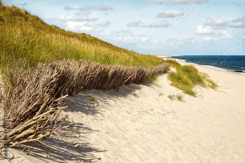 Fototapeta Naklejka Na Ścianę i Meble -  Dune protection as part of the coastal protection on the island of Sylt, Schleswig-Holstein, Germany. Maritime summer landscape with a bright sandy beach and grassy dunes by the blue sea.