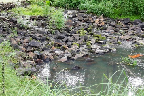 Large stones forest lake clear water summer grass