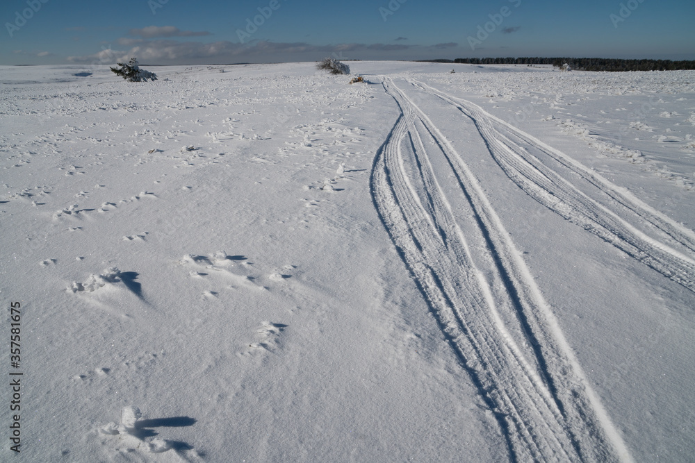 car tracks on the snow