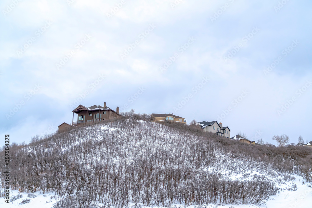 Fototapeta premium Homes atop a hill with leafless bushes on the slope covered with snow in winter