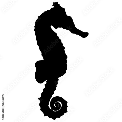 Sea horse black silhouette