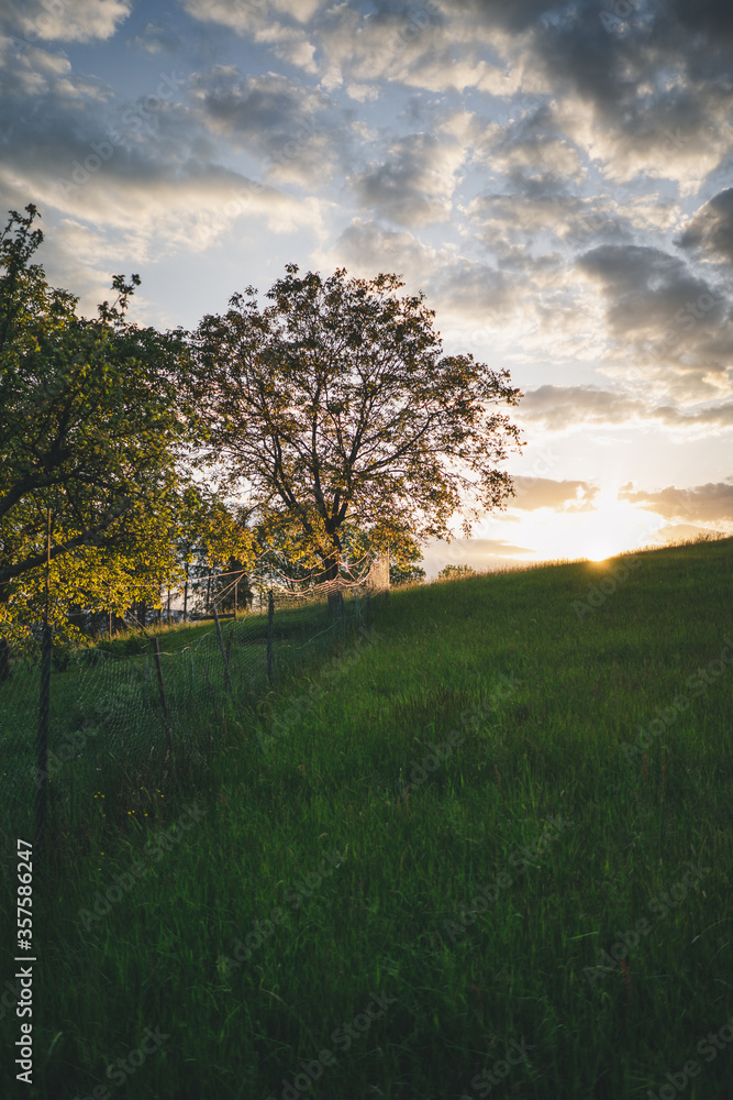 Umzäunter Garten und hügelige Wiese bei Sonnenuntergang Umzäunter Garten und hügelige Wiese bei Sonnenuntergang
