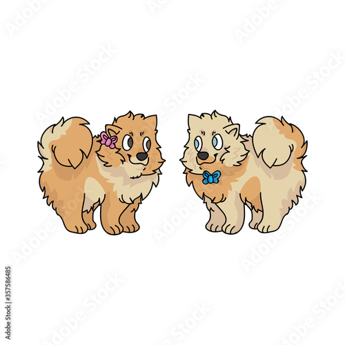 Cute cartoon pomeranian puppy boy and girl vector clipart. Pedigree kennel doggie breed for dog lovers. Purebred domestic dog for pet parlor illustration. Isolated spitz hound. 