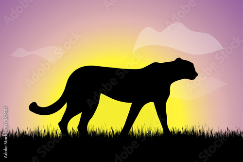 Vector silhouette of cheetah walking in the grass at sunset. Symbol of nature.