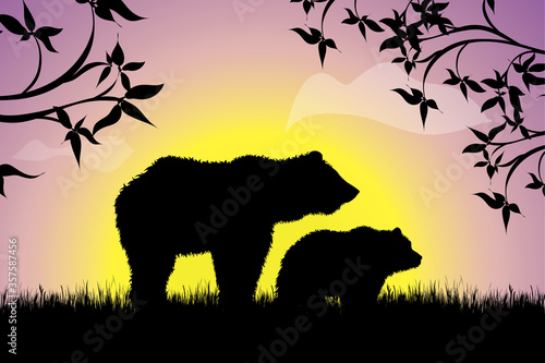 Vector silhouette of family of bear walking in the grass at sunset. Symbol of nature. © majivecka