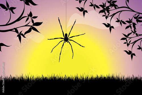 Vector silhouette of spider at sunset. Symbol of nature.