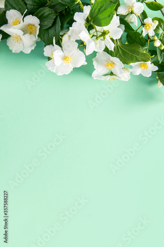Spring blooming mint color background . Floral border of green leaves and white flowers jasmine.Copy space © Юлия Усикова