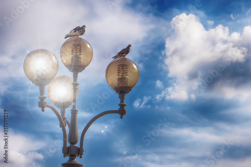 Street lantern with energy-saving lamps, two lamps lit, and on two others doves are sitting. Beautiful blue sky as background