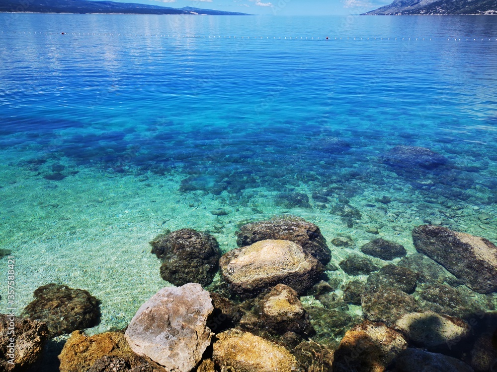 custom made wallpaper toronto digitalcoral reef and sea