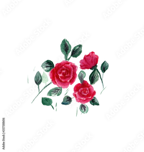watercolor red roses with green petals