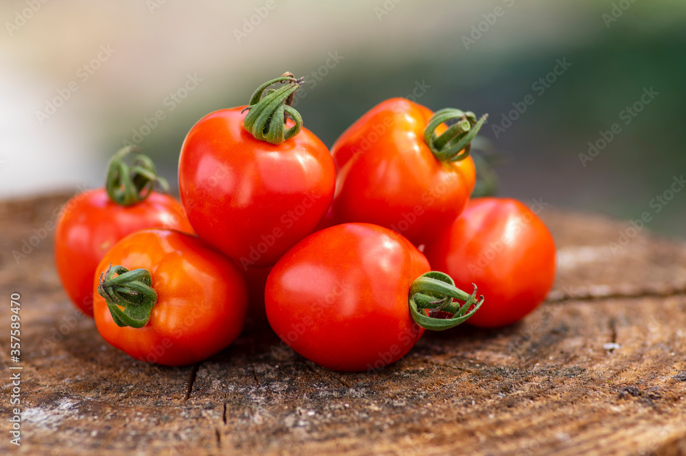 Group of ripened tasty red raw strawberry tomatoes on wood on green natural background, tasty healthy vegetables still life Group of ripened tasty red raw strawberry tomatoes on wood on green natural background, tasty healthy vegetables still life