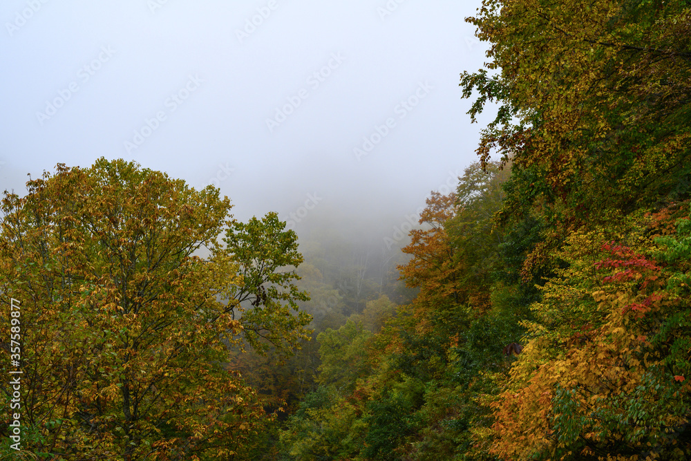 Fototapeta premium 雨雲に覆われる山地の秋