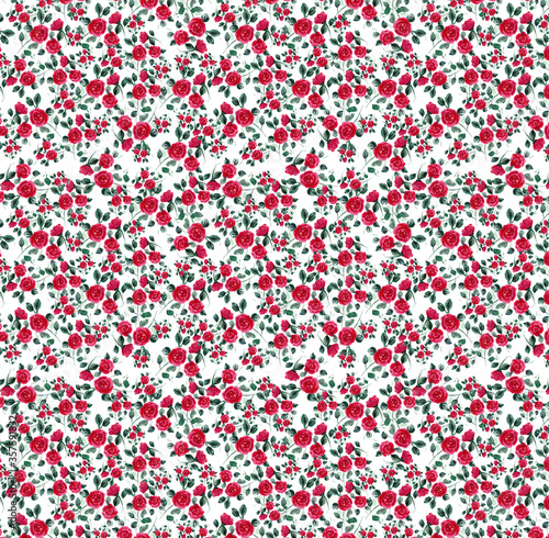 watercolor pattern of red garden roses