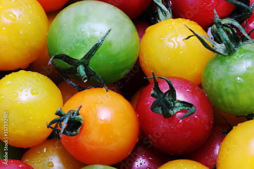 3 colors cherry tomatoes  green  orange and red  - close up