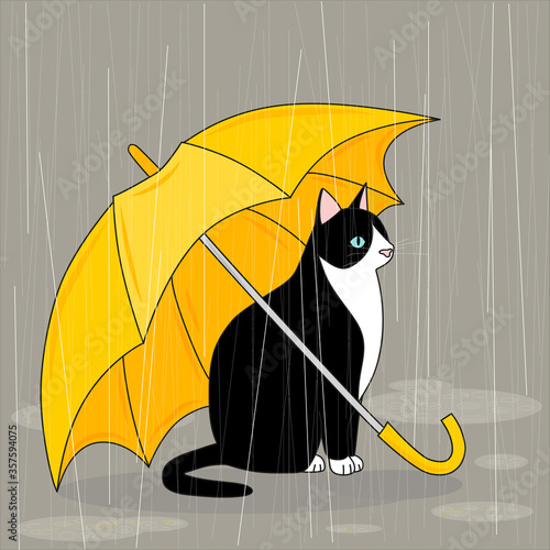 cat with a yellow umbrella in the rain