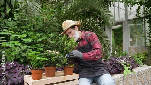 Close up of handsome hardworking bearded mature man in hat and workwear which spraying flowerspots with water in own greenhouse photo