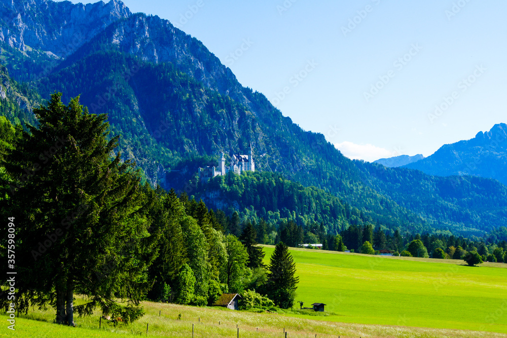 Spectacular view of Neuschwanstein Castle (Bavaria, Germany) surrounded by forested mountains and beautiful green forest and meadows in the front under a blue sky. Great alpine scenery in Germany.