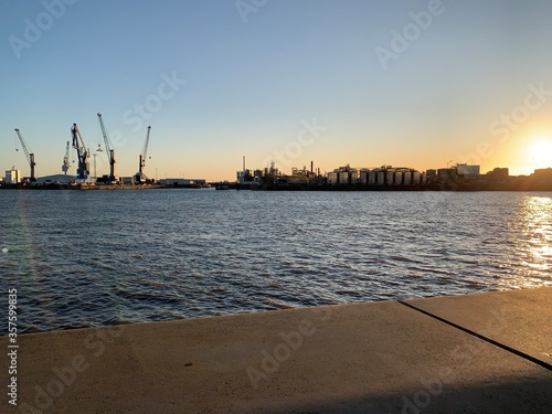 sunset in the harbor