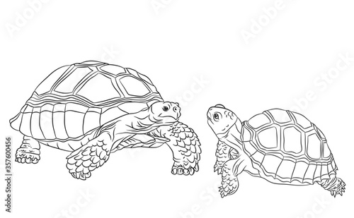 Black and white cute cartoon sulcata turtle. Coloring book for the children. Vector illustration