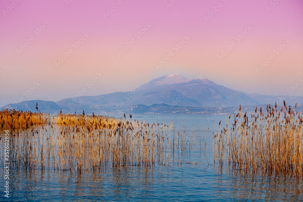 Early morning, sunrise over the lake. Sedge in the lake. Garda lake (Lago di Garda), Italy, Europe