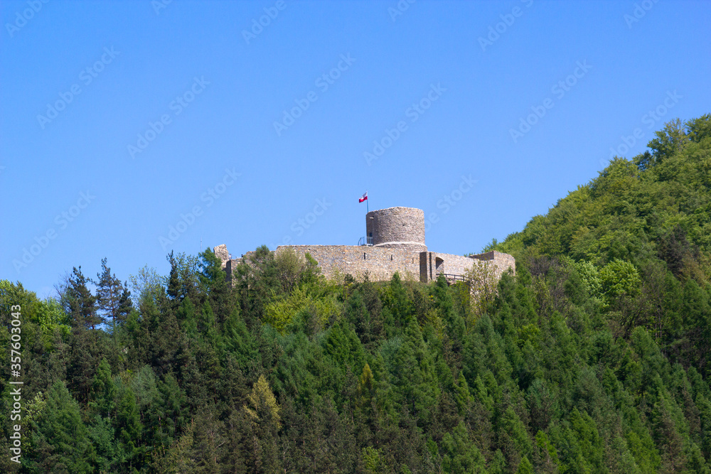 Medieval castle in the woods on top of mountain in summer. Village Rytro, Poland.