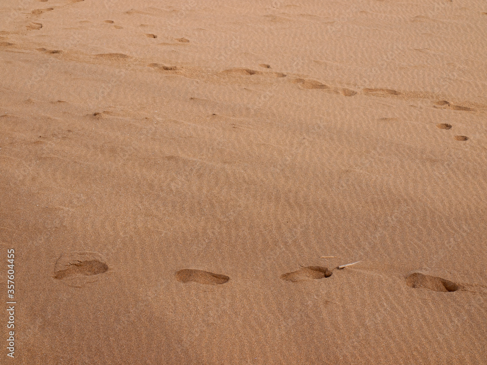 Texture, Beach sand with footprints of people for backgrounds Texture, Beach sand with footprints of people for backgrounds