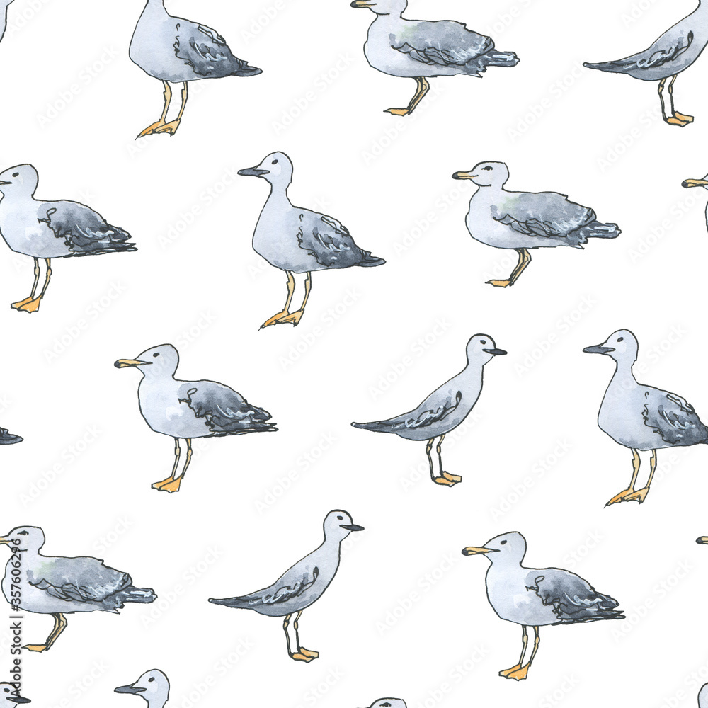 Obraz premium Watercolor hand drawn pattern with gull, seagull, mew, mew gull on white background